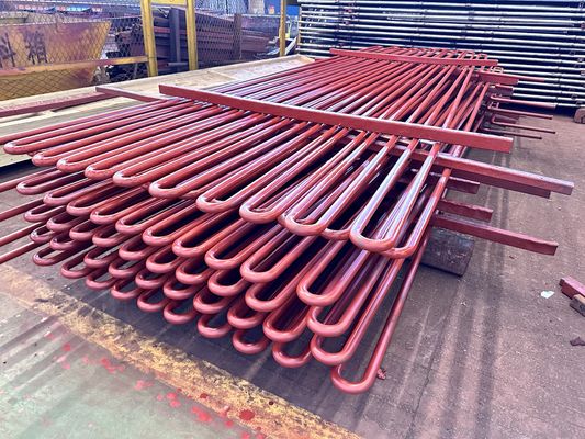 Customized Coil Length and Heat Transfer Area Boiler Superheater Coils with 1 Year Warranty